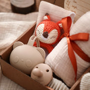 Kit Completo de Banho e Presentes para Bebês