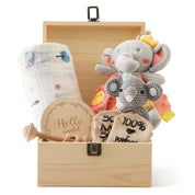 Kit de Presente Montessori para Bebês - Brinquedos Educativos
