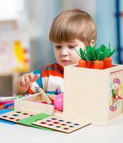 Brinquedos montessori de madeira, kit de jogo, objeto, caixa de permanência, moeda, cenoura, criança, desenvolvimento precoce, forma classificador, bola, brinquedos para idade