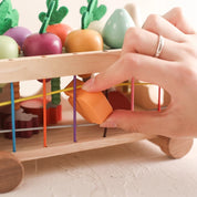 Brinquedo Educativo de Madeira Montessori Cenoura Carrinho de Puxar