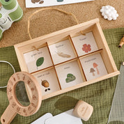 Kdis Outdoor Exploration Set Insects Plants Observation Box Wooden Cognitive Magnifying Glass Natural Forest Adventure Toys Gift