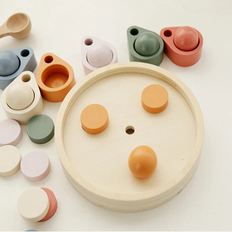 Brinquedo Montessori de Classificação e Coordenação Motora