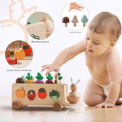 Brinquedo Educativo de Madeira Montessori Cenoura Carrinho de Puxar
