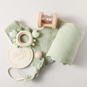 Kit Premium Presente Brinquedos de Banho para Bebês - 6 Peças
