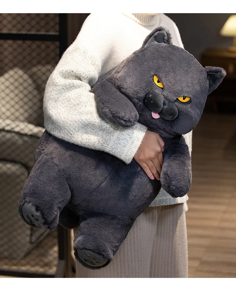Gato de Pelúcia Kawaii Britânico Shorthair 30-60 cm