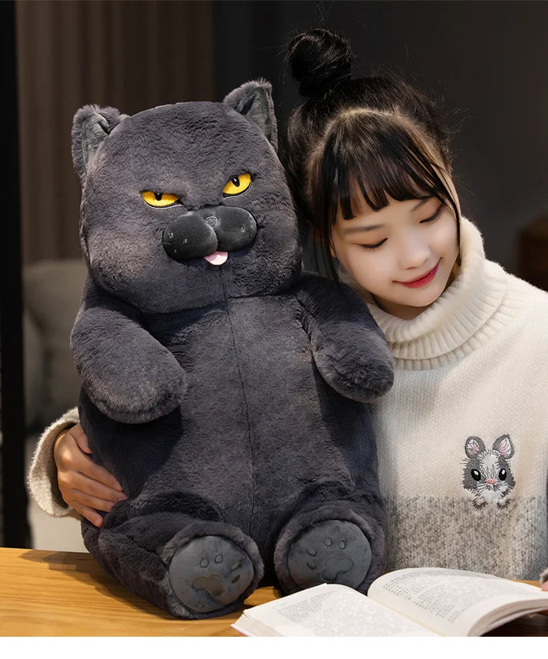 Gato de Pelúcia Kawaii Britânico Shorthair 30-60 cm
