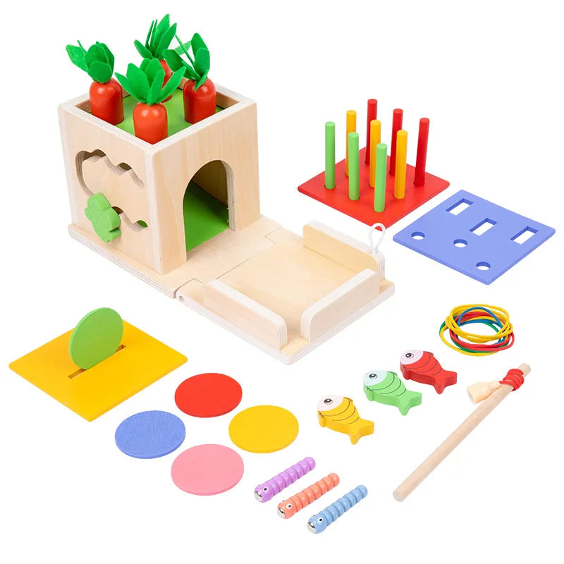 Brinquedos montessori de madeira, kit de jogo, objeto, caixa de permanência, moeda, cenoura, criança, desenvolvimento precoce, forma classificador, bola, brinquedos para idade