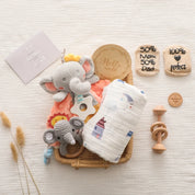 Kit de Presente Montessori para Bebês - Brinquedos Educativos