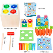 Brinquedos montessori de madeira, kit de jogo, objeto, caixa de permanência, moeda, cenoura, criança, desenvolvimento precoce, forma classificador, bola, brinquedos para idade
