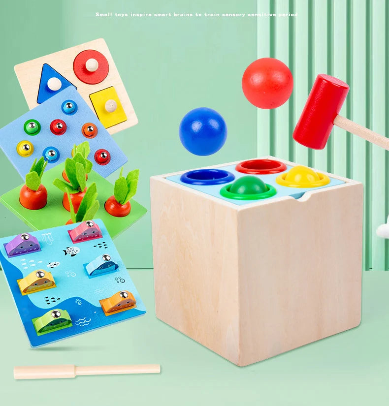 Brinquedos montessori de madeira, kit de jogo, objeto, caixa de permanência, moeda, cenoura, criança, desenvolvimento precoce, forma classificador, bola, brinquedos para idade