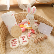 Kit de Presente Montessori para Bebês - Brinquedos Educativos