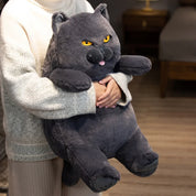 Gato de Pelúcia Kawaii Britânico Shorthair 30-60 cm