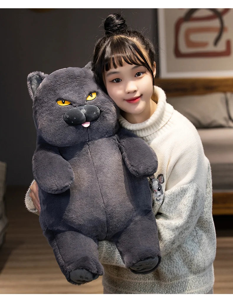 Gato de Pelúcia Kawaii Britânico Shorthair 30-60 cm