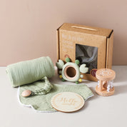 Kit Premium Presente Brinquedos de Banho para Bebês - 6 Peças
