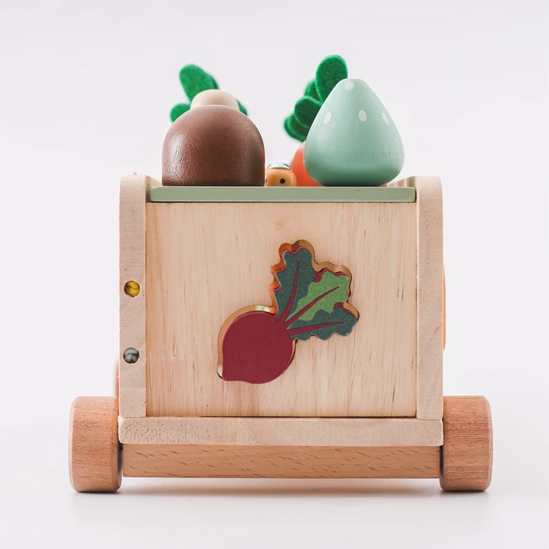 Brinquedo Educativo de Madeira Montessori Cenoura Carrinho de Puxar