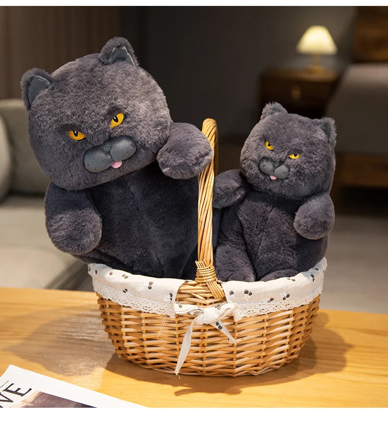 Gato de Pelúcia Kawaii Britânico Shorthair 30-60 cm
