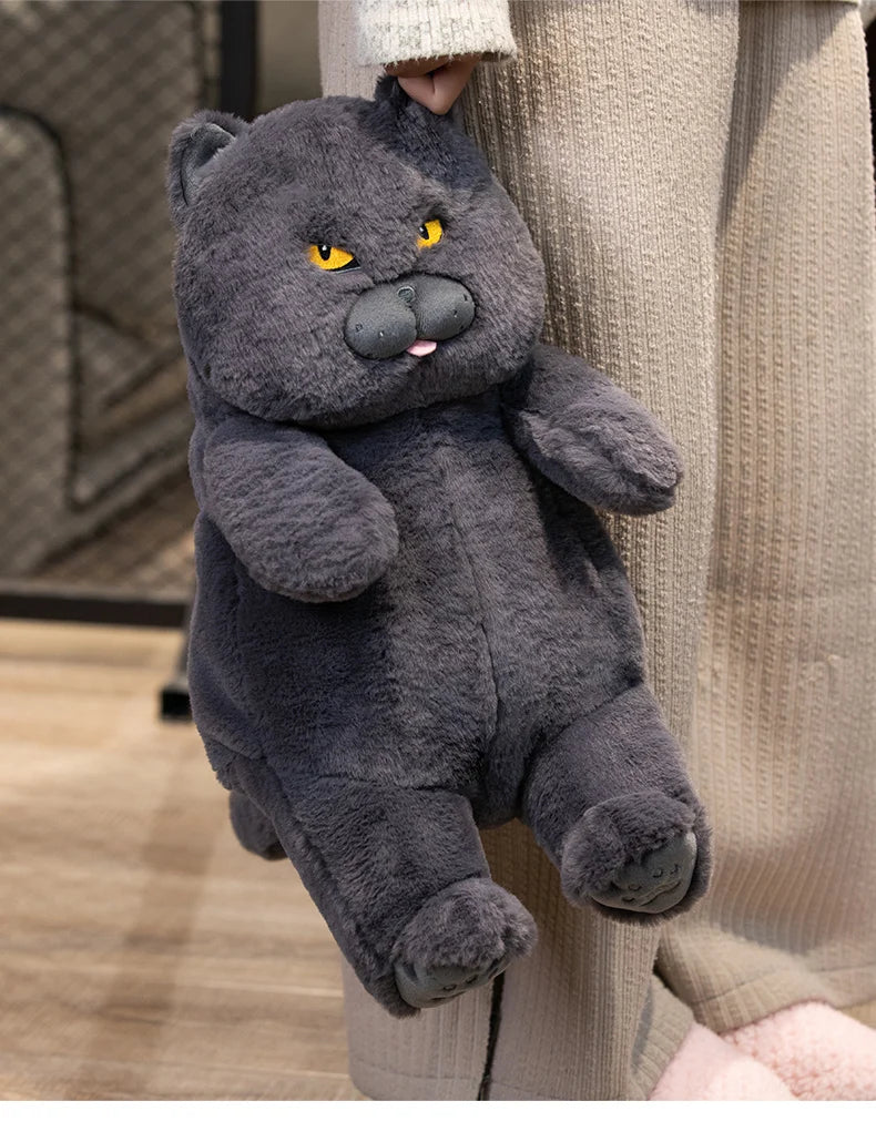 Gato de Pelúcia Kawaii Britânico Shorthair 30-60 cm