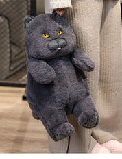 Gato de Pelúcia Kawaii Britânico Shorthair 30-60 cm