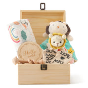 Kit de Presente Montessori para Bebês - Brinquedos Educativos