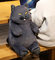 Gato de Pelúcia Kawaii Britânico Shorthair 30-60 cm