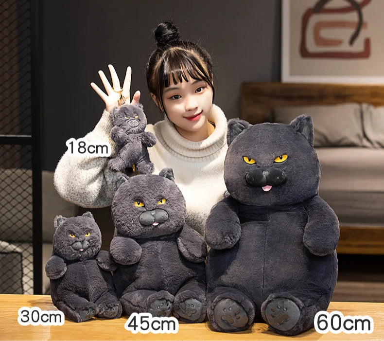 Gato de Pelúcia Kawaii Britânico Shorthair 30-60 cm