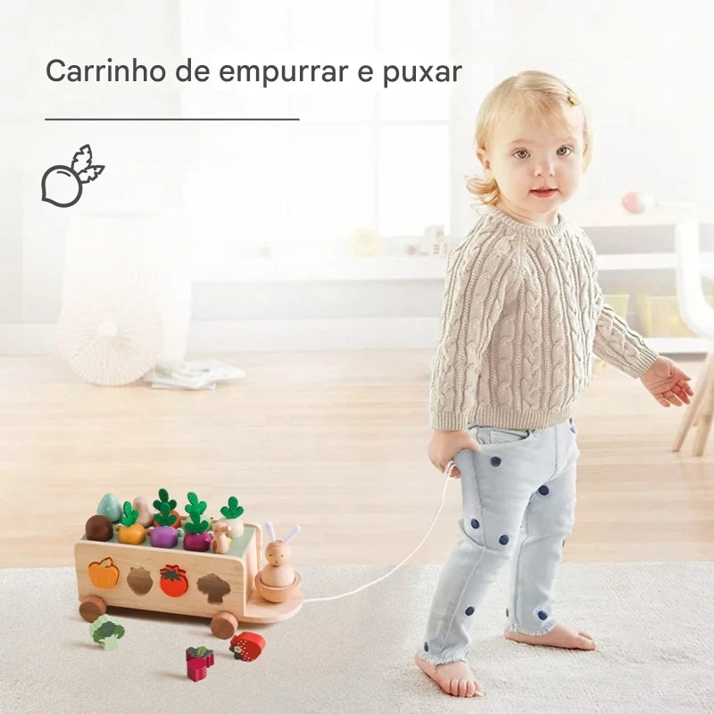 Brinquedo Educativo de Madeira Montessori Cenoura Carrinho de Puxar
