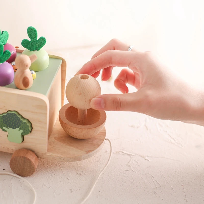 Brinquedo Educativo de Madeira Montessori Cenoura Carrinho de Puxar