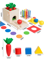 Brinquedos montessori de madeira, kit de jogo, objeto, caixa de permanência, moeda, cenoura, criança, desenvolvimento precoce, forma classificador, bola, brinquedos para idade