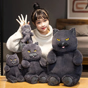 Gato de Pelúcia Kawaii Britânico Shorthair 30-60 cm