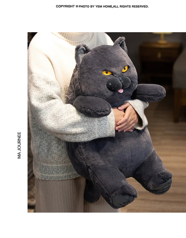 Gato de Pelúcia Kawaii Britânico Shorthair 30-60 cm