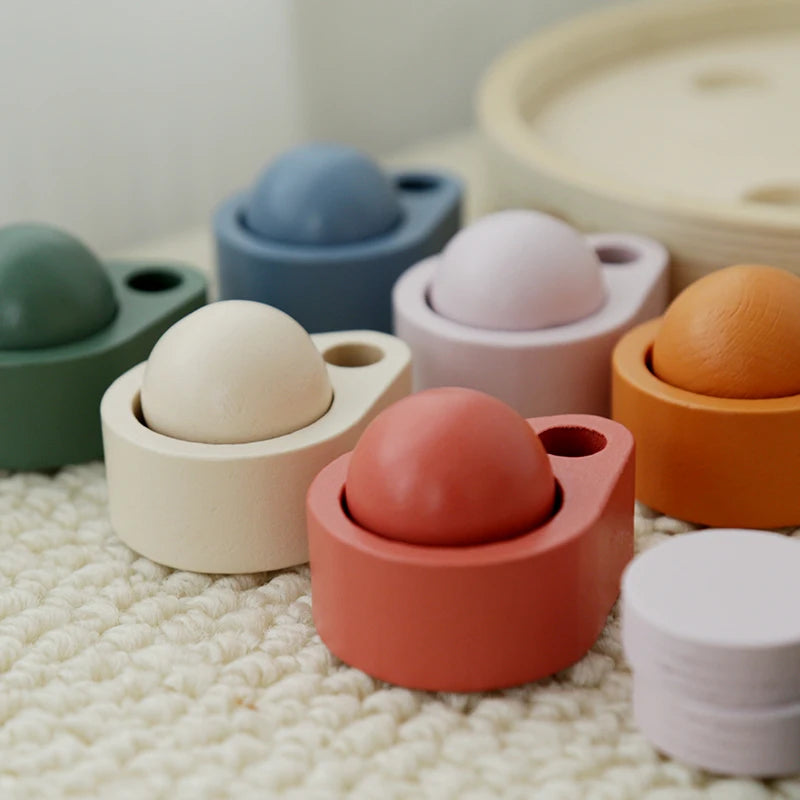 Brinquedo Montessori de Classificação e Coordenação Motora