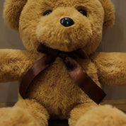 Urso de Pelúcia Macio 30cm - Estilos Adoráveis
