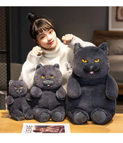 Gato de Pelúcia Kawaii Britânico Shorthair 30-60 cm