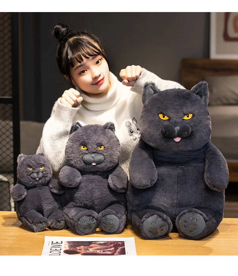 Gato de Pelúcia Kawaii Britânico Shorthair 30-60 cm