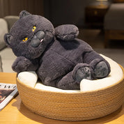 Gato de Pelúcia Kawaii Britânico Shorthair 30-60 cm